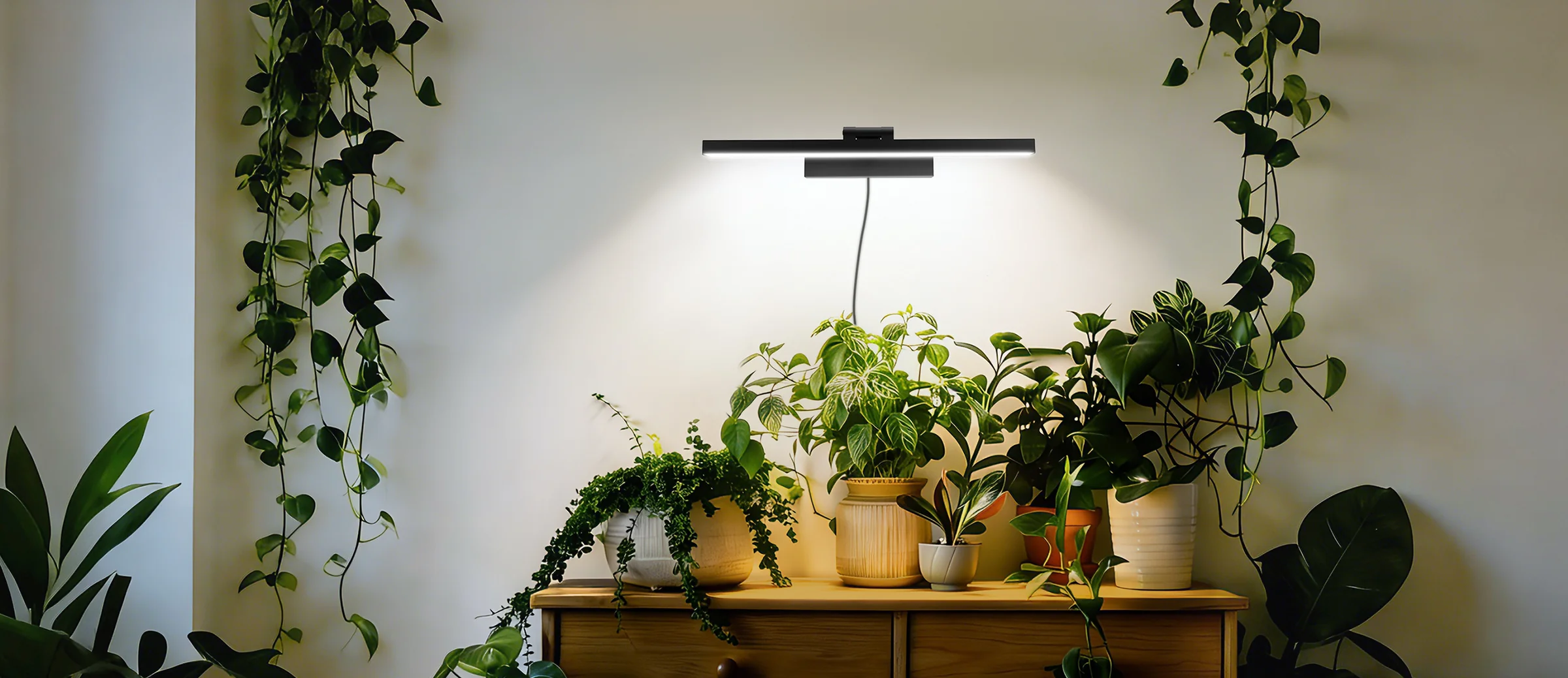Brilliant Light for Every Space